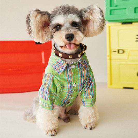 Dogs' T-Shirts: Stylish Apparel for Your Canine Companion