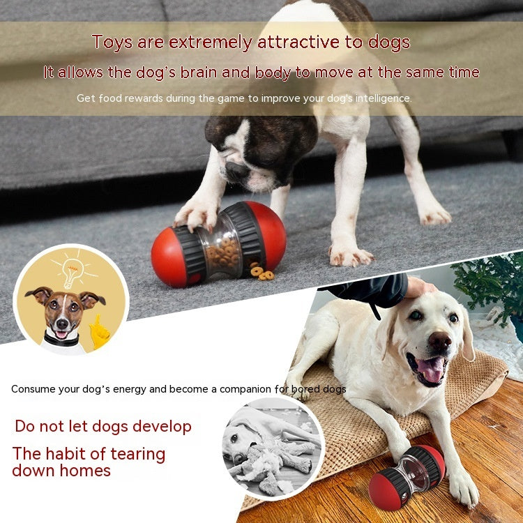 IQ Treat Toy: Interactive Feeding Ball for Pets