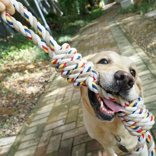 ChewyChase: Durable Rope Dog Toy for Chewing Fun