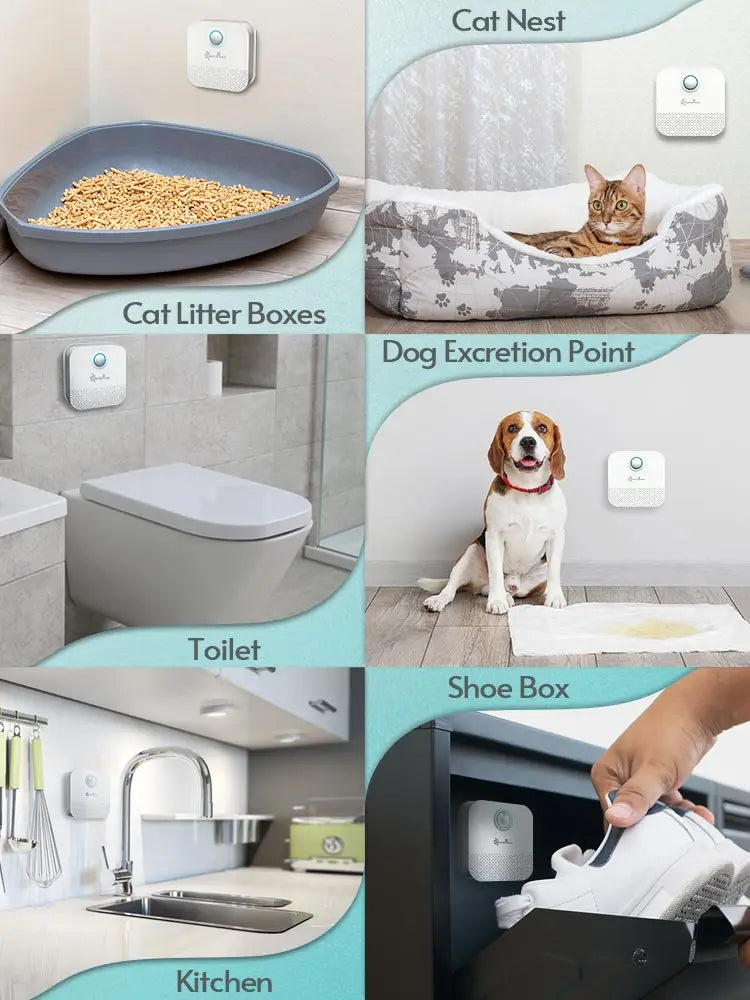 WhiskerFresh: Smart Cat Odor Purifier for a Clean Home