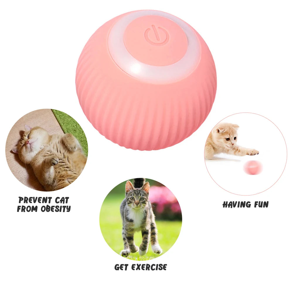 Automatic rolling ball cat toy