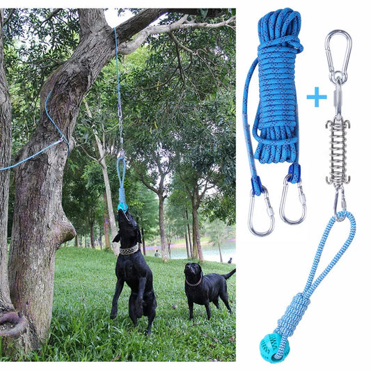 Pawsome Spring: Spring Pole Dog Rope for Active Adventures